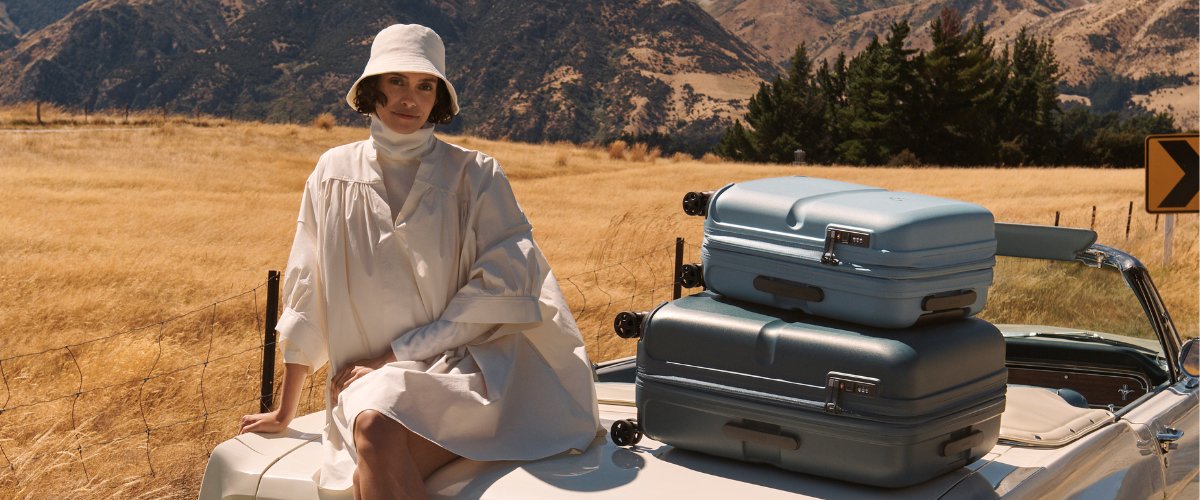 Hard back online suitcase