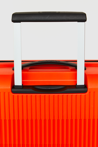 Aerostep 77cm Case