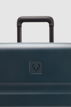 Icon Stripe 66cm Suitcase