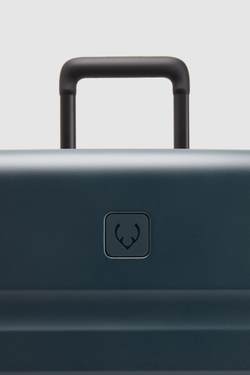 Icon Stripe 55cm Suitcase