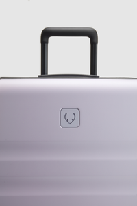 Icon Stripe 78cm Suitcase