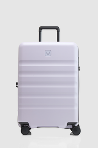 Icon Stripe 66cm Suitcase