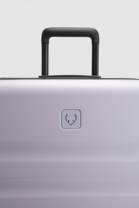 Icon Stripe 55cm Suitcase