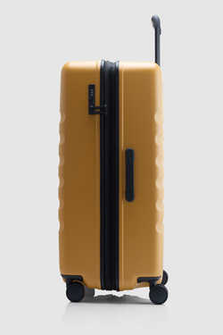 Icon Stripe 78cm Suitcase