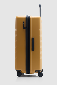 Icon Stripe 78cm Suitcase