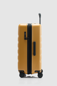 Icon Stripe 66cm Suitcase