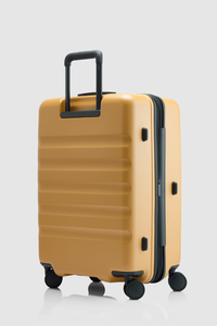 Icon Stripe 66cm Suitcase