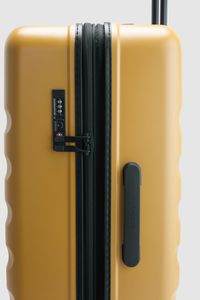 Icon Stripe 66cm Suitcase