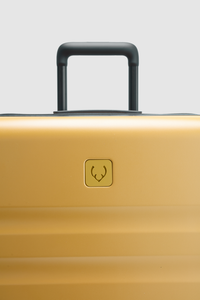 Icon Stripe 66cm Suitcase