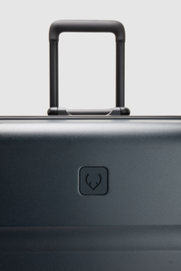 Heritage Stripe Trunk Suitcase