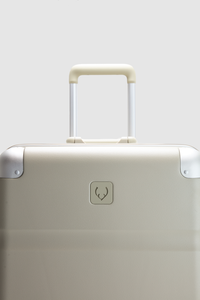 Heritage Stripe Trunk Suitcase