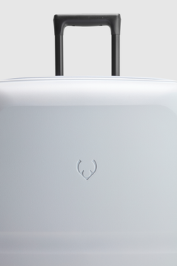 Single Stripe 81cm Suitcase