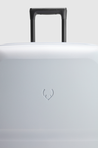 Single Stripe 68cm Suitcase