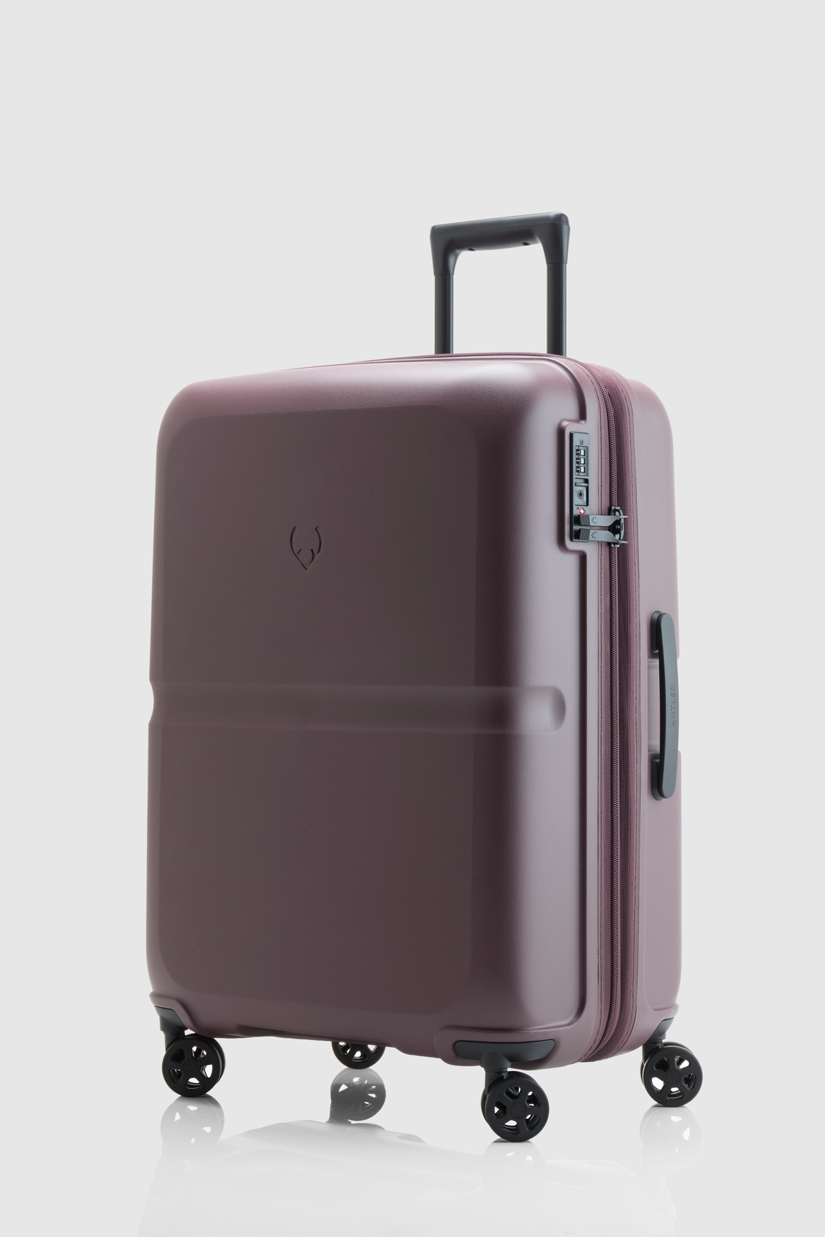 Antler Single Stripe 68cm Suitcase – Strandbags Australia