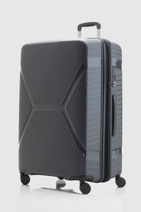 Palm Check-In 74cm Suitcase