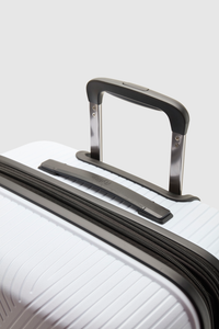 Palm Check-In 75cm Suitcase