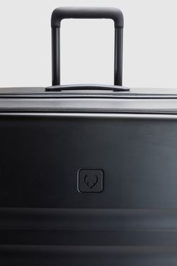 Icon Stripe Dual 78cm Suitcase