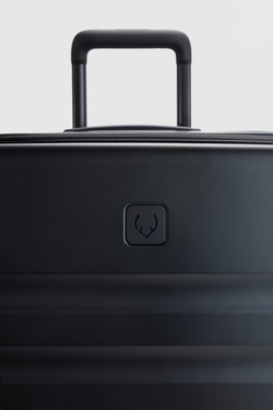 Icon Stripe Dual 66cm Suitcase