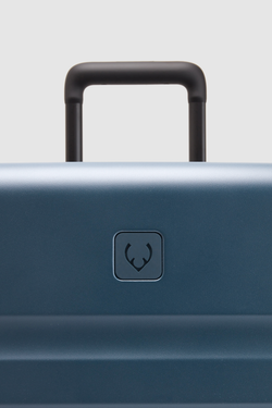 Icon Stripe 78cm Suitcase