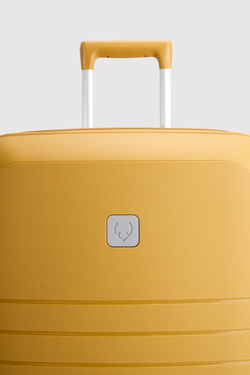 Light Stripe 68cm Suitcase
