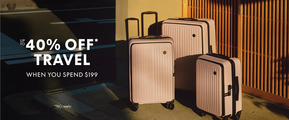 Check In Luggage